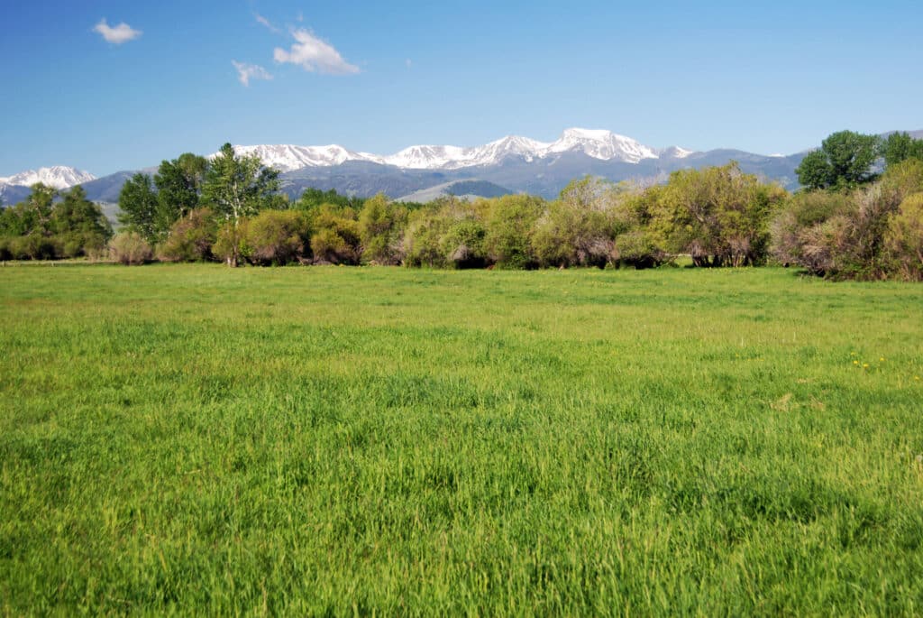 A wide green field stretches toward a line of trees and bushes, with snow-capped mountains rising in the background beneath a clear blue sky—perfect land for sale or an ideal hunting property.