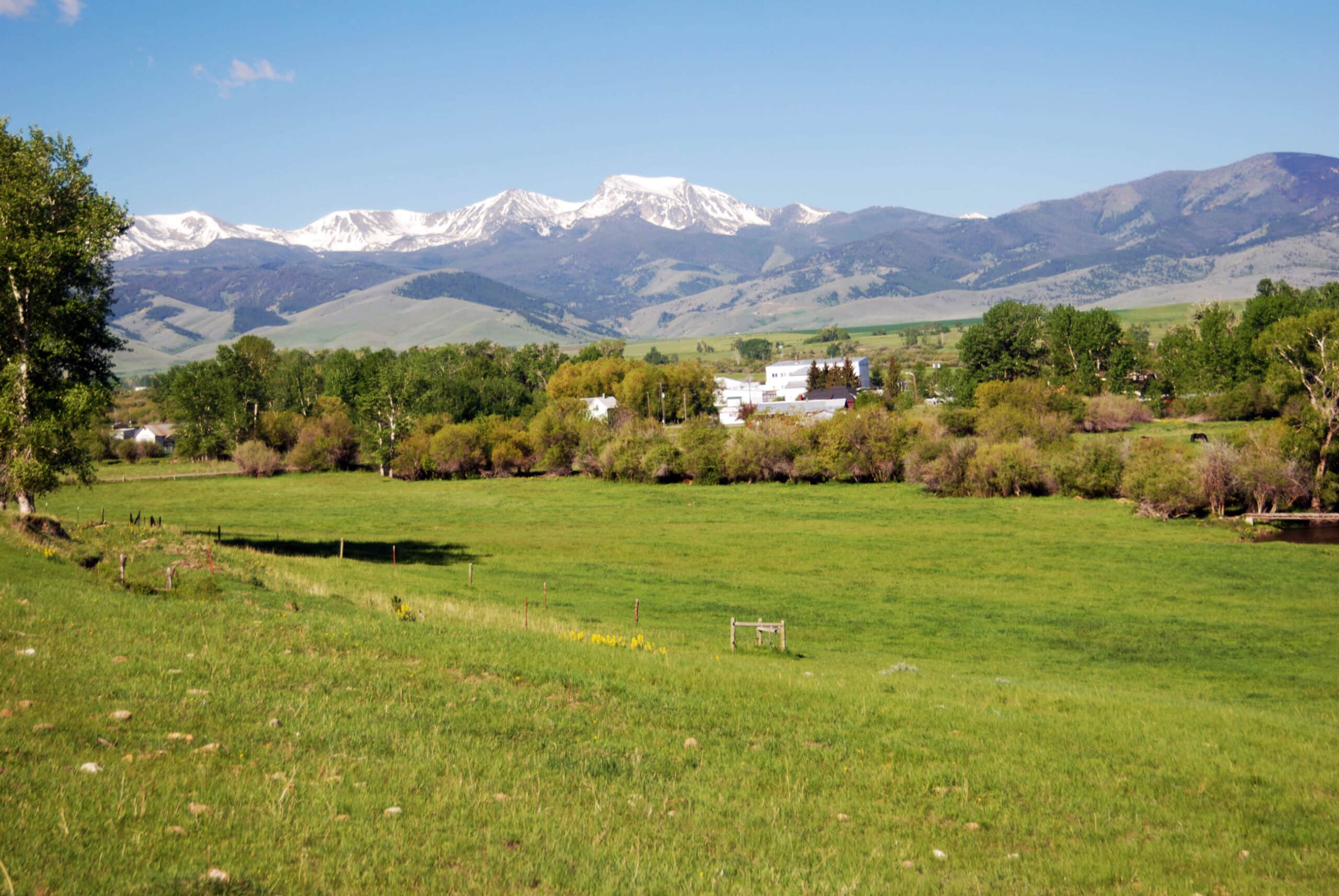 A lush green field stretches toward a group of trees and white buildings, with snow-capped mountains rising in the background under a clear blue sky—ideal as hunting property or cattle ranch land for sale.