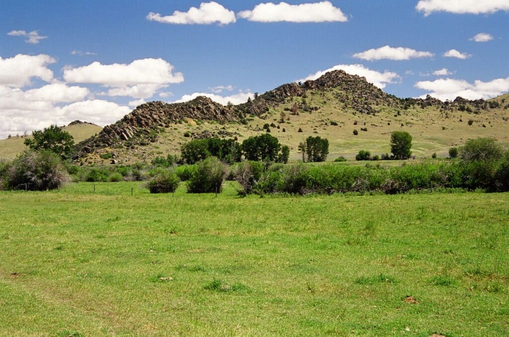 A grassy field with scattered bushes and trees in the foreground, leading to rocky hills under a blue sky with white, fluffy clouds—ideal land for sale perfect for a cattle ranch or hunting property.