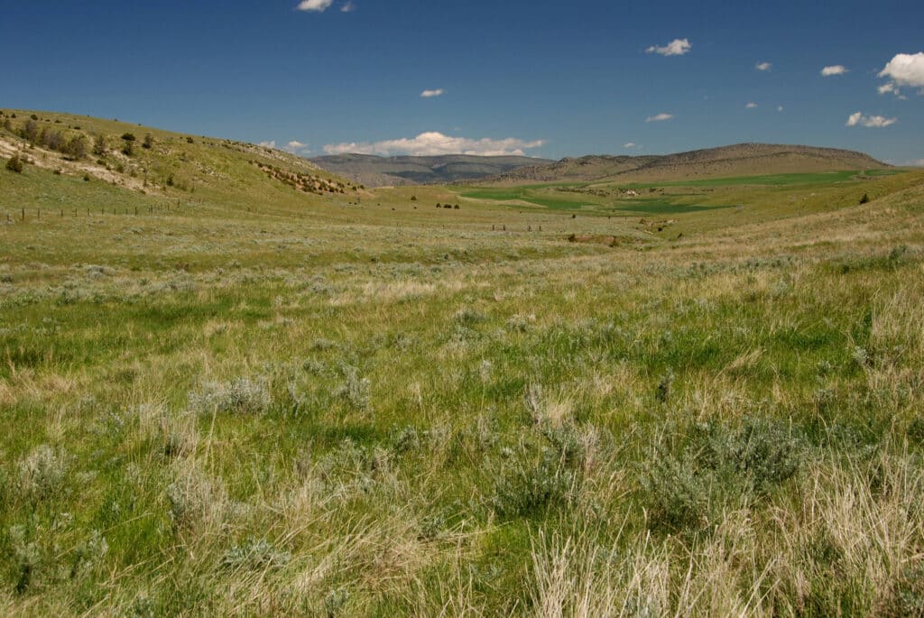 A wide grassy field with rolling green hills under a clear blue sky and scattered clouds. Distant mountains line the horizon, and patches of green and brown vegetation make this ideal recreational land or hunting property.