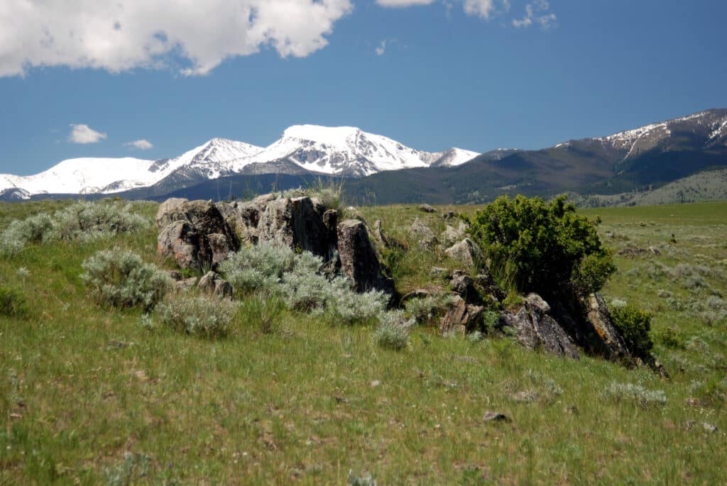 Rocky outcrop with green grass and shrubs in the foreground, set against snow-capped mountains under a blue sky—perfect land for sale ideal for a cattle ranch.