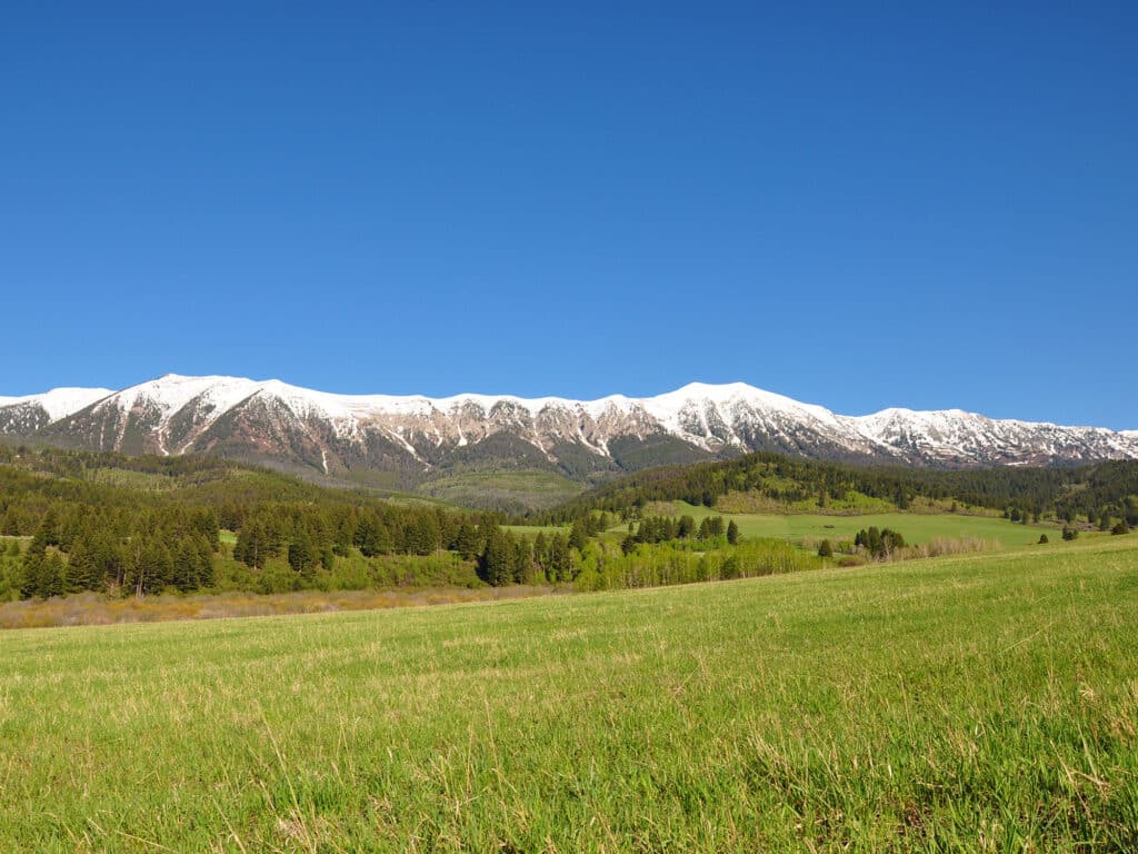 A wide, grassy field stretches toward a forest with tall green trees and a distant mountain range capped with snow under a clear blue sky—ideal as recreational land or hunting property.