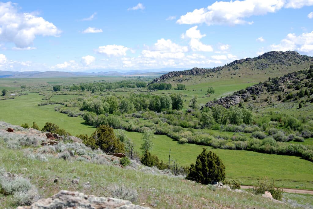 A scenic landscape featuring rolling green hills, scattered shrubs, a winding river, and rocky outcrops under a bright blue sky with white clouds—an ideal setting for a cattle ranch or land for sale with distant mountains on the horizon.