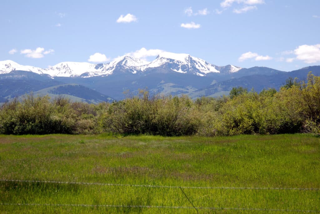 A grassy field with shrubs in the foreground and snow-capped mountains under a blue sky—perfect land for sale for your dream ranch or hunting property.