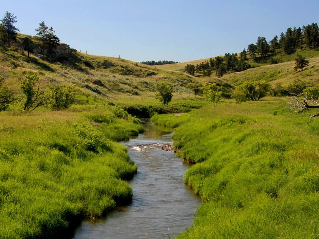 A narrow creek flows through lush green grass and gently rolling hills on this beautiful ranch for sale, with scattered trees and a clear blue sky overhead.