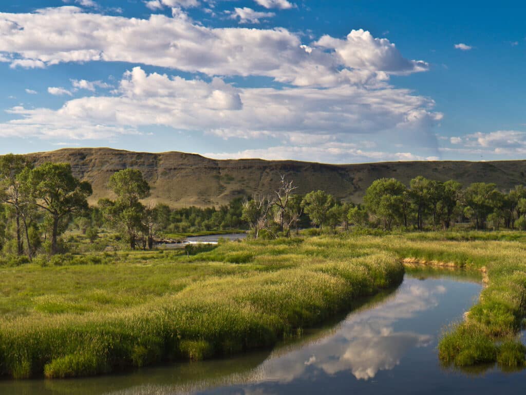 A winding river flows through a lush green meadow with trees on both sides, under a blue sky and distant hills—perfect recreational land or hunting property.