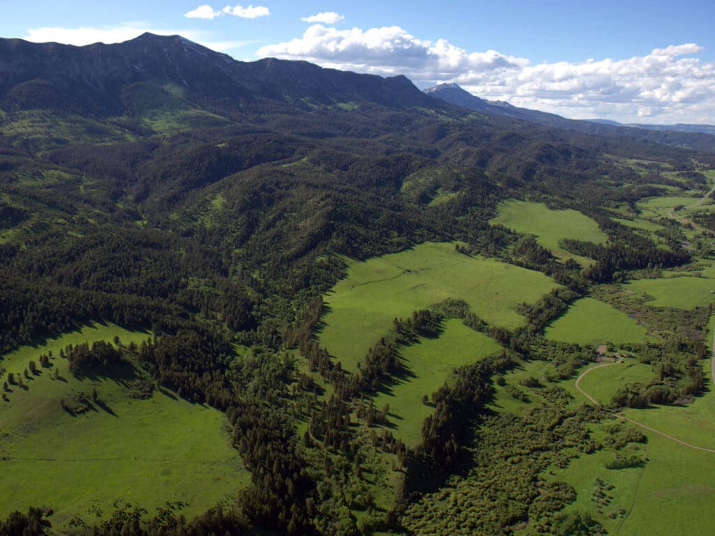 Aerial view of lush green valleys and forested hills, with tall mountains in the background under a blue sky—ideal hunting property or ranch for sale.