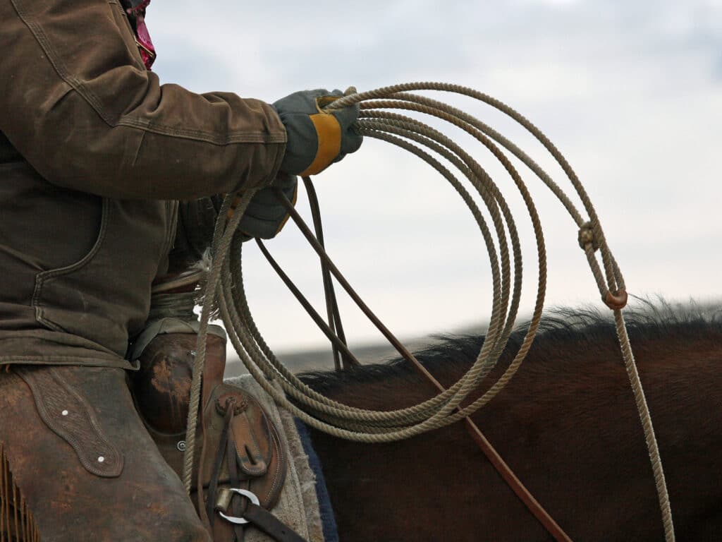 A person wearing gloves and a brown jacket holds a coiled lasso while sitting on a saddled horse, ready to rope—capturing the spirit of ranch life on recreational land or potential ranch for sale. Only the rider’s torso, hands, saddle, and part of the horse are visible.
