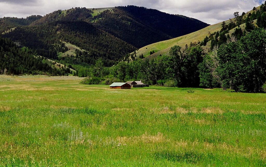 A lush green meadow with three small wooden cabins in the center, surrounded by trees and rolling forested hills under a partly cloudy sky—ideal recreational land or a peaceful cattle ranch for sale.