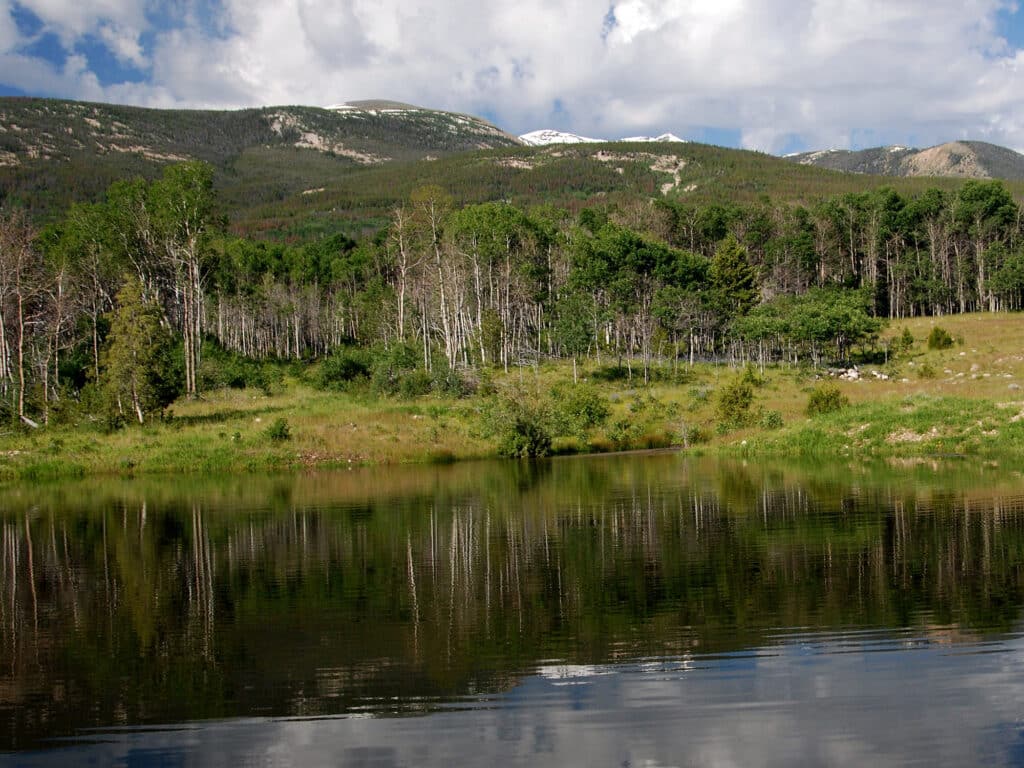 A calm pond reflects green trees and grassy shoreline on a recreational land, with forested hills and partially snow-capped mountains in the background under a partly cloudy sky.