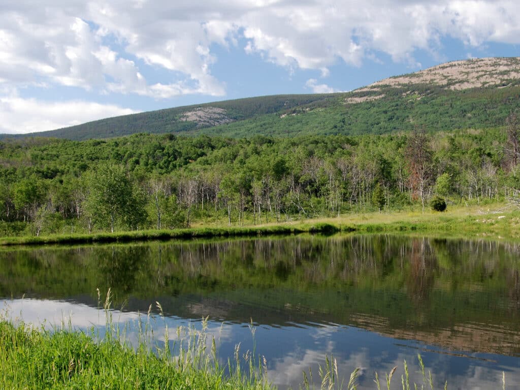A calm pond reflects green trees, grass, and a partly cloudy sky, with forested hills and a mountain in the background—perfect for recreational land or as a scenic hunting property.