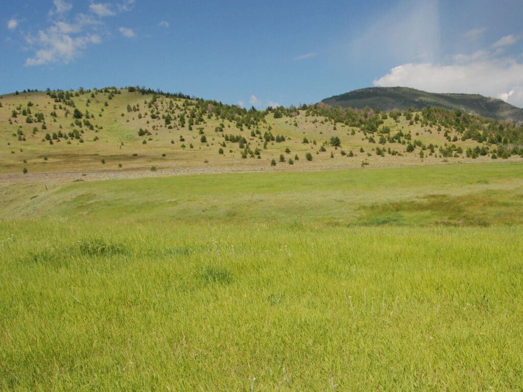 A wide, grassy field with green hills dotted with small trees under a partly cloudy blue sky; ideal recreational land or potential cattle ranch, with a mountain rising in the background.