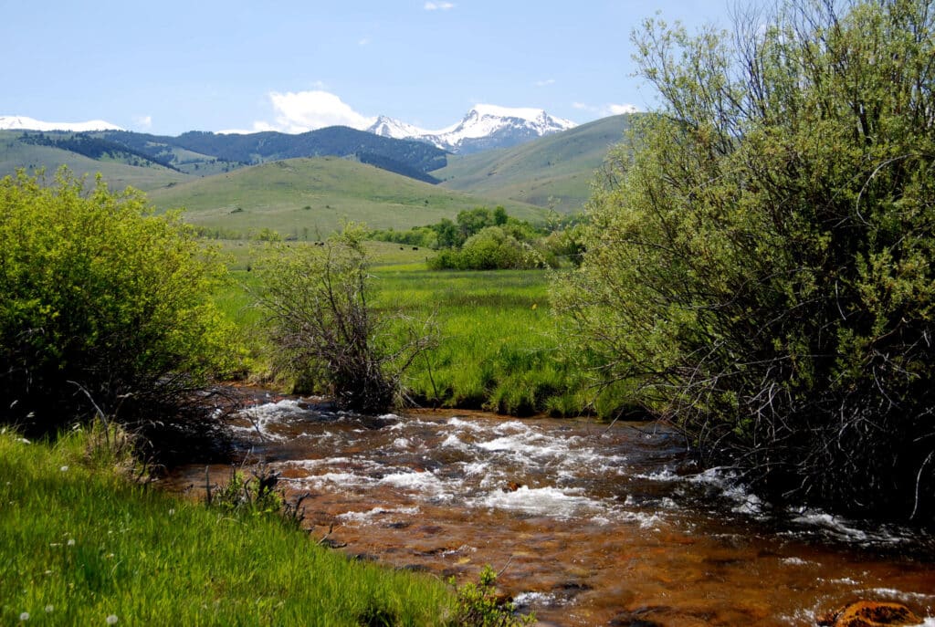 A clear stream flows through green grass and bushes, with rolling hills and snow-capped mountains in the background—an ideal hunting property or ranch for sale under a partly cloudy sky.