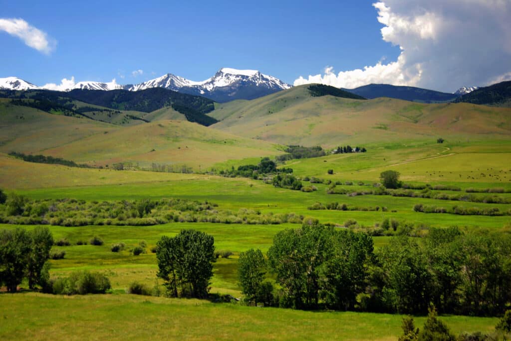 A green valley with scattered trees and shrubs, rolling hills, and snow-capped mountains in the background under a partly cloudy blue sky—ideal as a cattle ranch or hunting property.