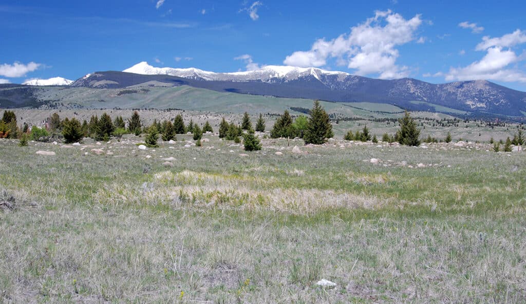 A grassy plain with scattered small trees and rocks in the foreground, snow-capped mountains in the background, and a blue sky with a few clouds overhead—ideal recreational land or potential cattle ranch for sale.