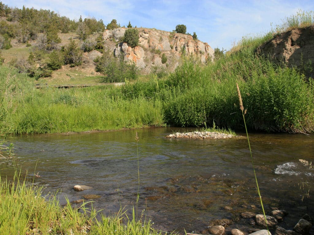A clear, shallow stream flows through green grass and reeds on recreational land, with a rocky hill and scattered trees in the background under a blue sky.