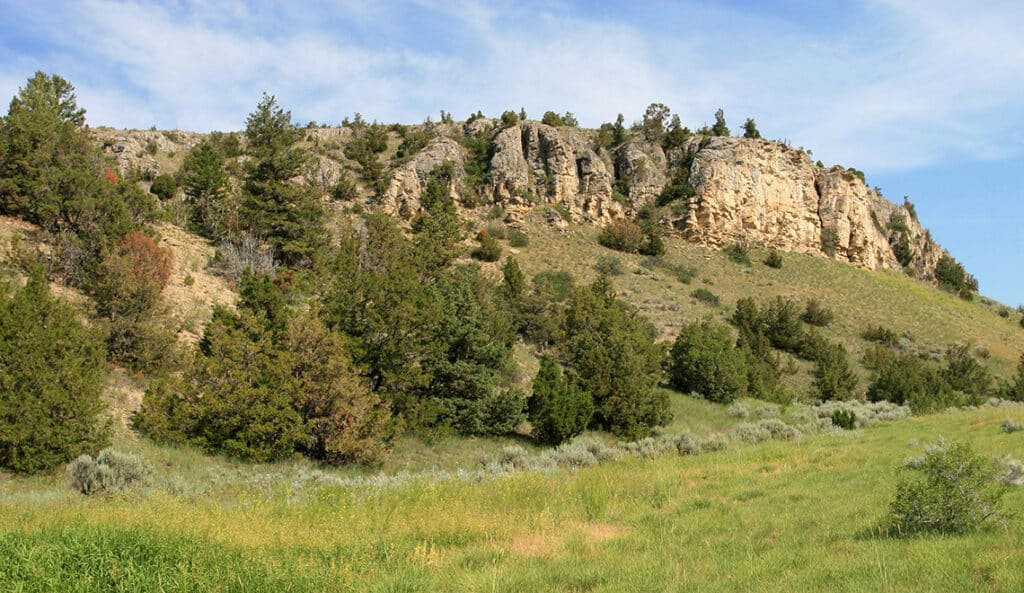 A rocky cliff rises above a grassy field with scattered shrubs and trees under a partly cloudy blue sky, ideal scenery for recreational land or a peaceful cattle ranch.