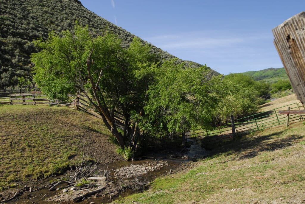 A small stream runs through a grassy field with a wooden fence and leafy green trees, set against rolling hills under a clear blue sky—perfect recreational land or hunting property.