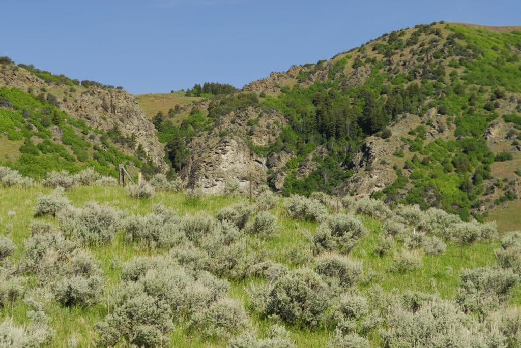 A sunny landscape featuring green hills covered with sagebrush and scattered shrubs, ideal recreational land with rocky outcroppings and patches of trees beneath a clear blue sky.