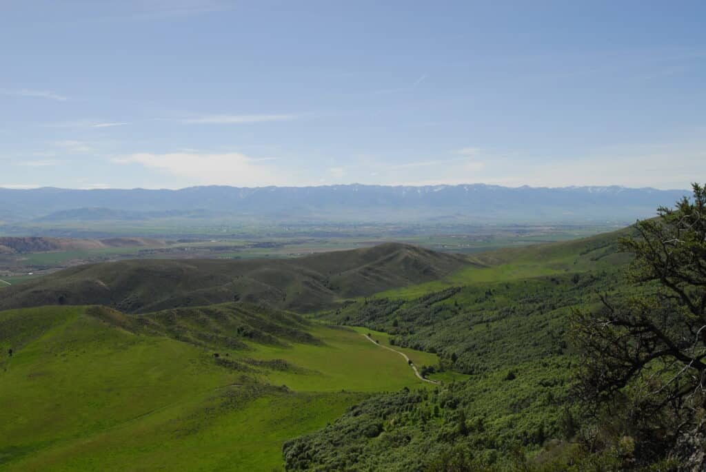 Rolling green hills and valleys under a clear blue sky, with distant mountains on the horizon and scattered trees in the foreground—ideal hunting property or cattle ranch land for sale.