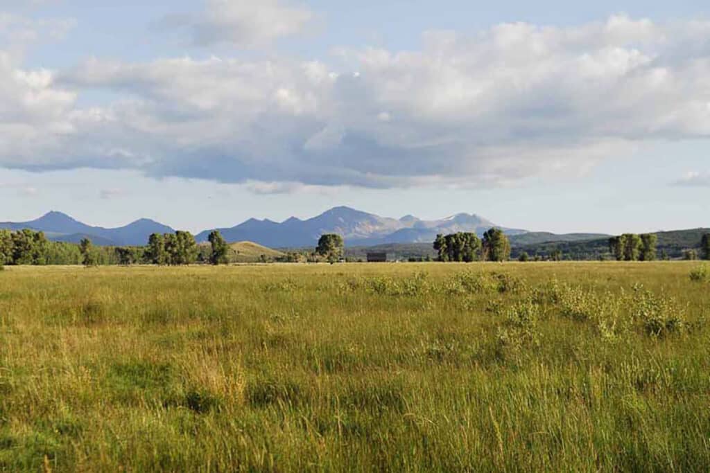 A wide, grassy field stretches toward distant mountains under a partly cloudy sky, with scattered trees dotting this picturesque cattle ranch and sunlight illuminating the scene.