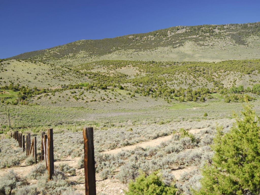 A wooden fence runs through a dry, grassy landscape with scattered shrubs, leading toward rolling hills of green vegetation under a clear blue sky—perfect land for sale or an ideal hunting property.