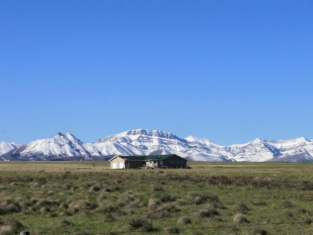 A single house sits on a grassy plain, ideal for a cattle ranch, with snow-capped mountains in the background under a clear blue sky.