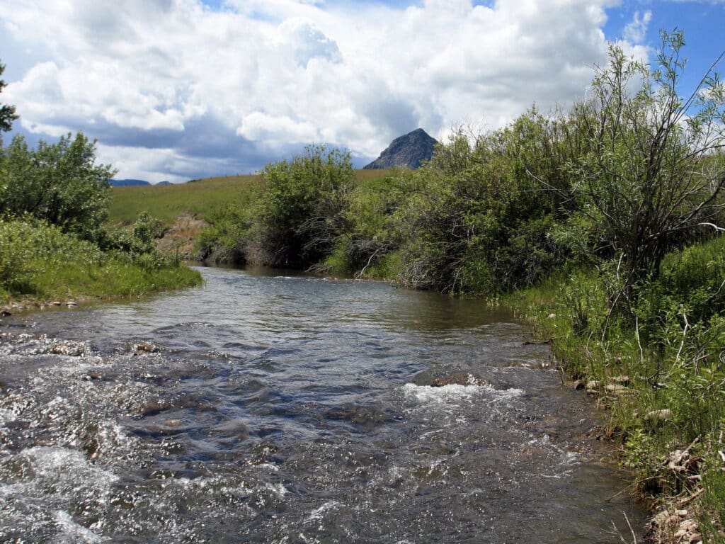 A clear, shallow stream flows through green shrubs and grass on this picturesque cattle ranch, with a distant mountain and cloudy sky in the background.