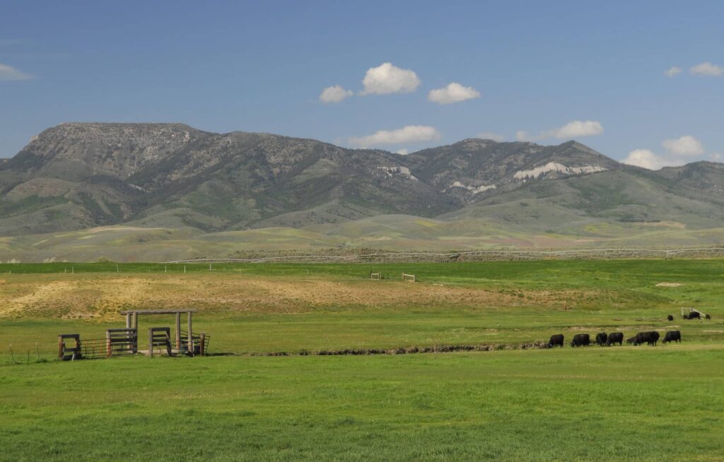 scenic views from a ranch in idaho
