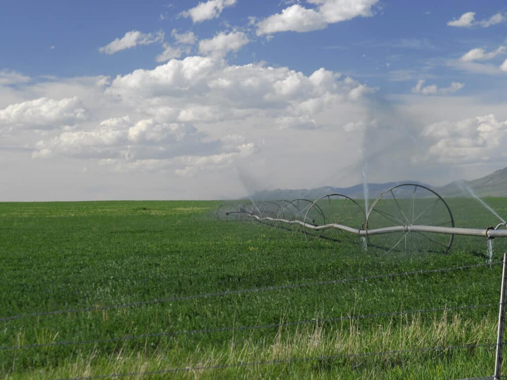 A large green field on a cattle ranch is being irrigated by a wheel line sprinkler system under a partly cloudy sky with distant mountains in the background.