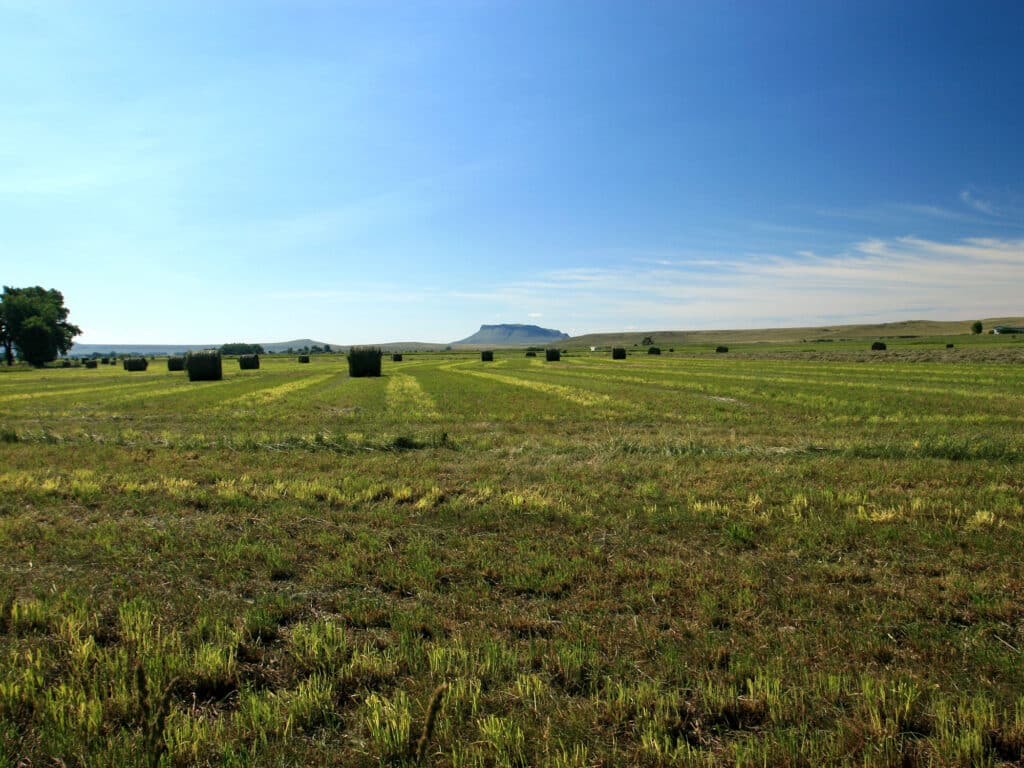 A wide, open field with evenly spaced, rectangular hay bales under a clear blue sky, with distant hills or a flat-topped mountain visible—perfect land for sale ideal for your dream cattle ranch.