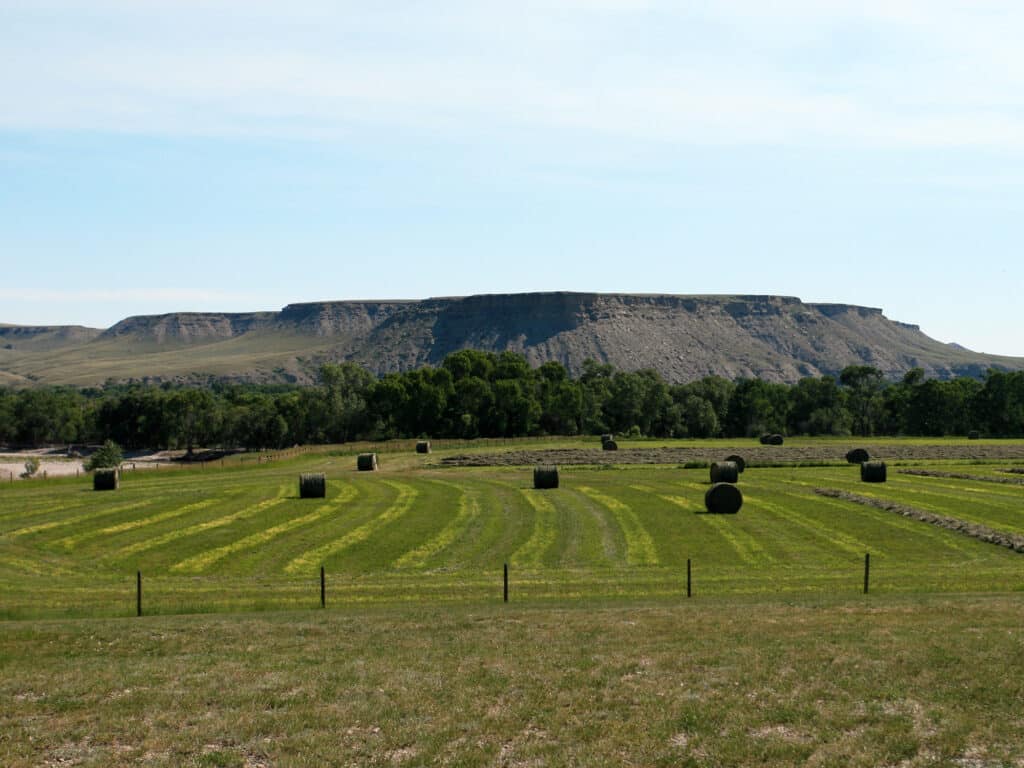 A grassy field with round hay bales lies in the foreground, lined by trees. In the background, a flat-topped mesa rises under a blue sky—ideal recreational land or cattle ranch opportunities with land for sale.