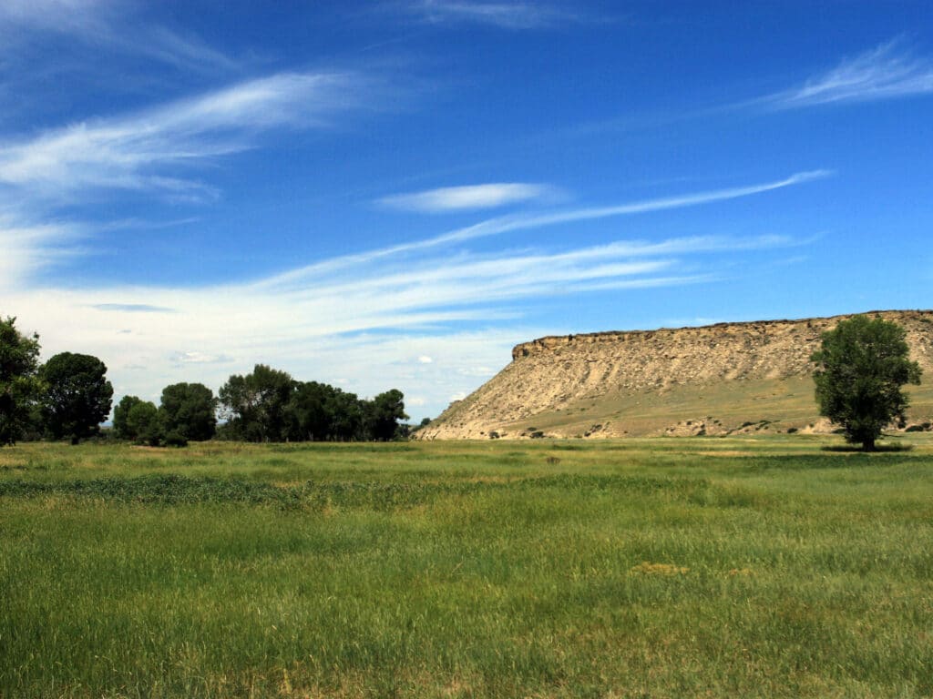 A grassy plain with scattered trees and a large, rocky mesa under a bright blue sky with wispy clouds—perfect recreational land or hunting property.