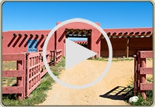 Click here to view video