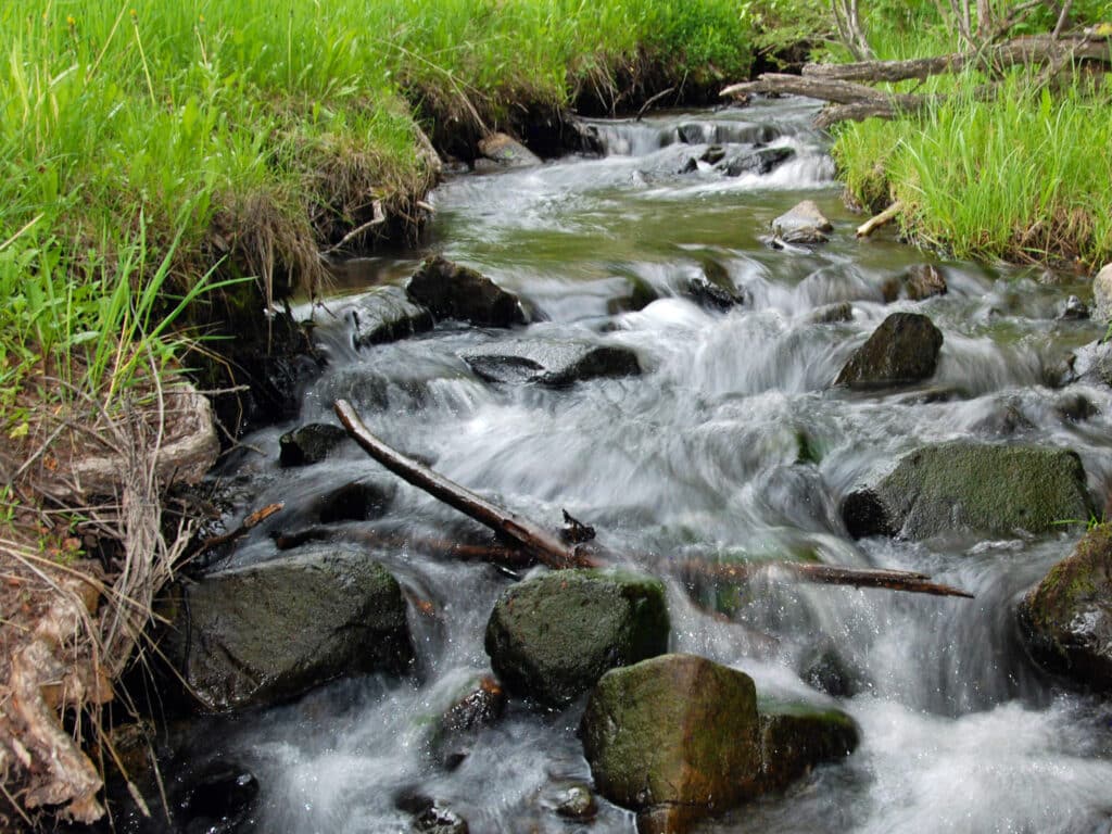 A small stream flows over mossy rocks surrounded by green grass and plants, creating white water and a serene setting—perfect for a recreational land or cattle ranch.