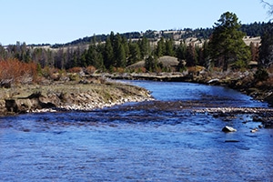 blog_heart_bar_2_ranch