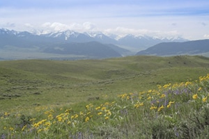 willow_creekblog