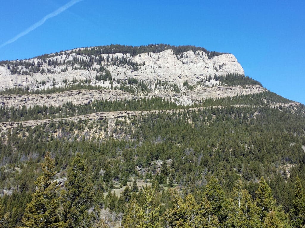 A rocky mountain with horizontal rock layers, covered with dense green pine trees, rises above a clear blue sky—an ideal backdrop for a hunting property or cattle ranch.