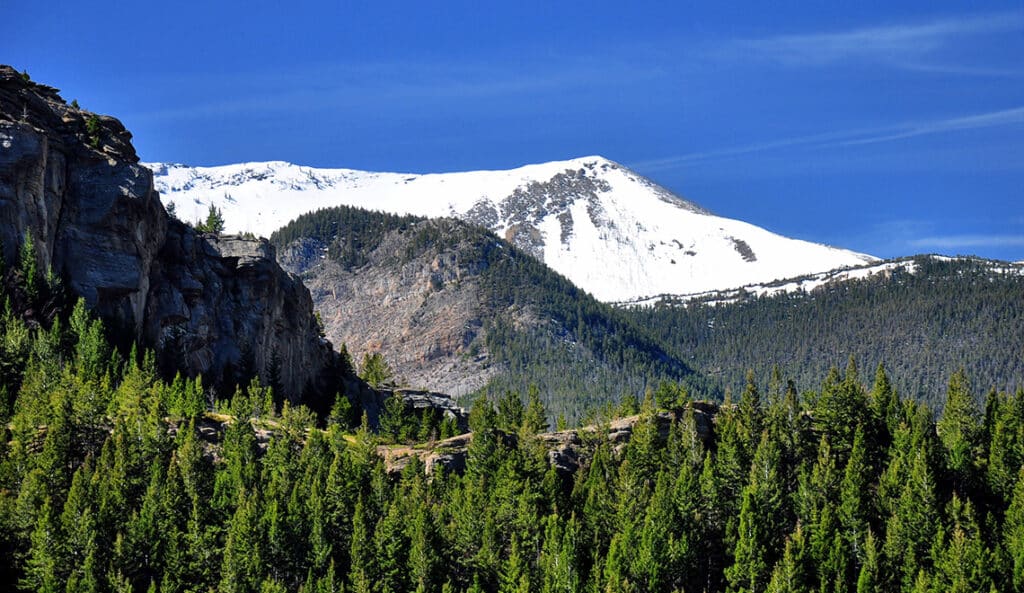 A snow-capped mountain rises behind a forest of green pine trees under a clear blue sky, with rocky cliffs on the left, offering stunning views—perfect recreational land or ranch for sale.