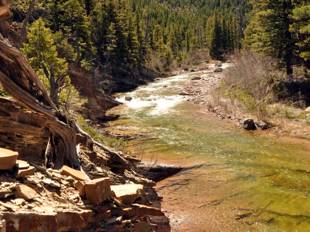 A clear, shallow river flows through a rocky, forested landscape with evergreen trees lining both sides and sunlight illuminating land for sale along the water and riverbank, offering stunning recreational land.