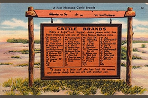 blog_-montana-brands1