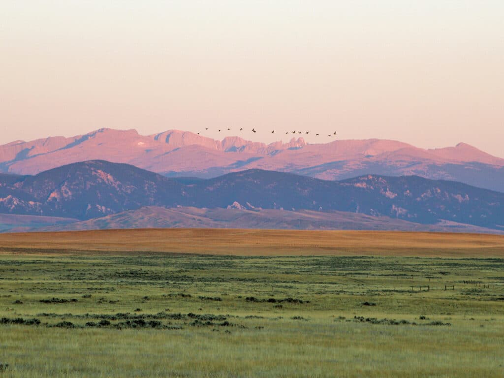 A wide, grassy plain stretches toward distant purple mountains under a soft, pastel sky—ideal recreational land. A flock of birds flies in a line above the mountains at sunrise or sunset.