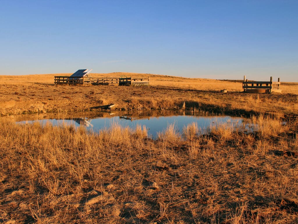 A small pond reflects the clear sky in a dry, grassy landscape with two wooden livestock shelters, one topped with solar panels—an ideal ranch for sale bathed in golden sunlight.