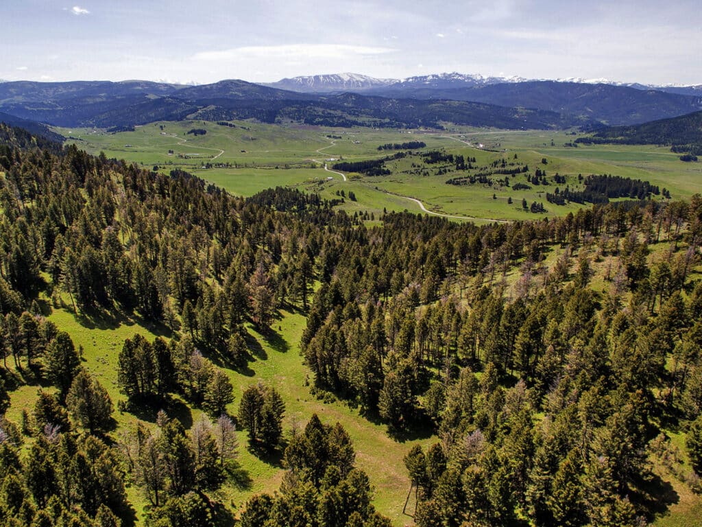 Aerial view of a lush, green valley with dense forests and rolling hills, ideal as a hunting property or ranch for sale, featuring a winding road and distant snow-capped mountains under a partly cloudy sky.