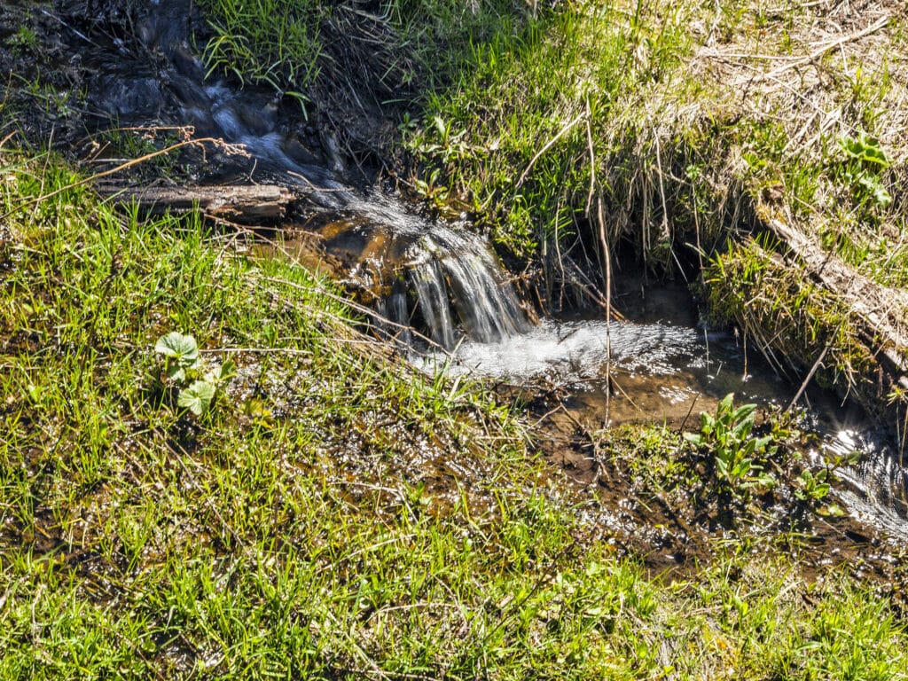 A small stream of clear water flows gently over rocks and grass, surrounded by green vegetation and sunlight—an ideal setting for recreational land or a peaceful cattle ranch.