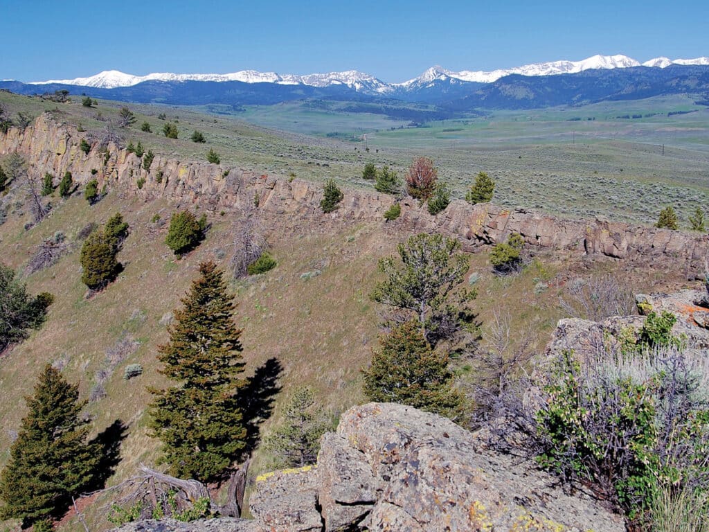 View of a rocky ridge with scattered pine trees in the foreground, overlooking a wide green valley and snow-capped mountains—ideal cattle ranch or hunting property—under a clear blue sky.