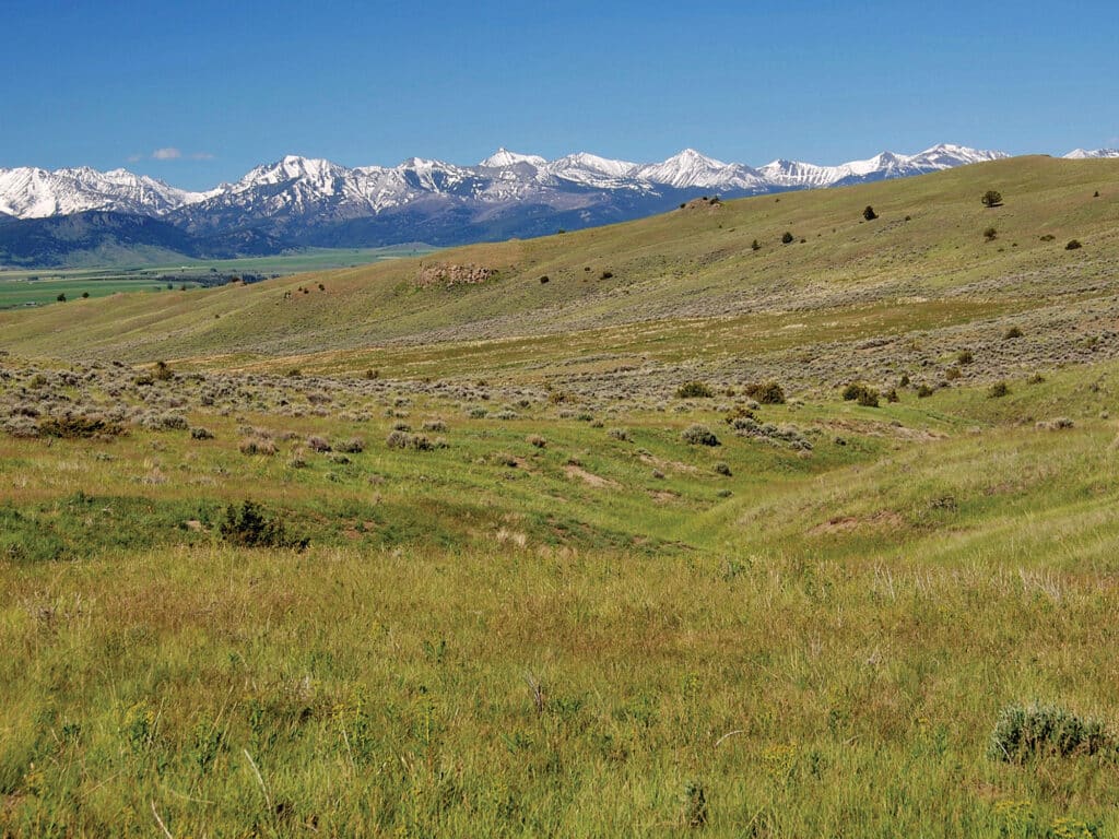 A grassy, gently rolling hillside stretches into the distance, with sparse shrubs and wildflowers. Snow-capped mountains rise under a clear blue sky—perfect recreational land or ranch for sale.