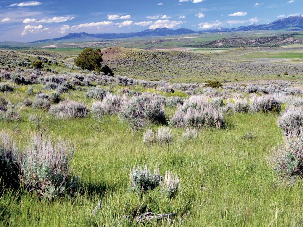 Wide-open grassland with sagebrush scattered across rolling hills under a blue sky and clouds; distant mountains and green valleys offer stunning views—perfect for a ranch for sale or cattle ranch.