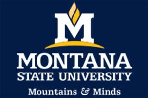 msulogo-reverse-footer
