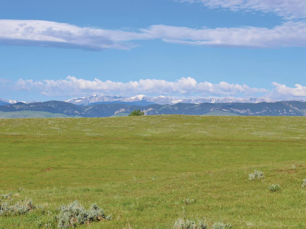 Wide grassy plain with sparse shrubs in the foreground, gently rolling hills, and distant snow-capped mountains under a blue sky with wispy clouds—perfect recreational land or cattle ranch.
